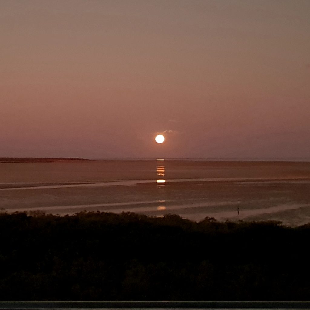 Stairway to the Moon phenomenon of the full moon rising over the exposed tidal flats of Roebuck Bay.